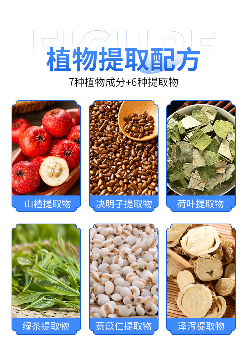 减肥茶一件代发