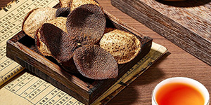 突破传统！健脾祛湿型陈皮复合茶饮研发成功，药食同源茶饮迎来新升级